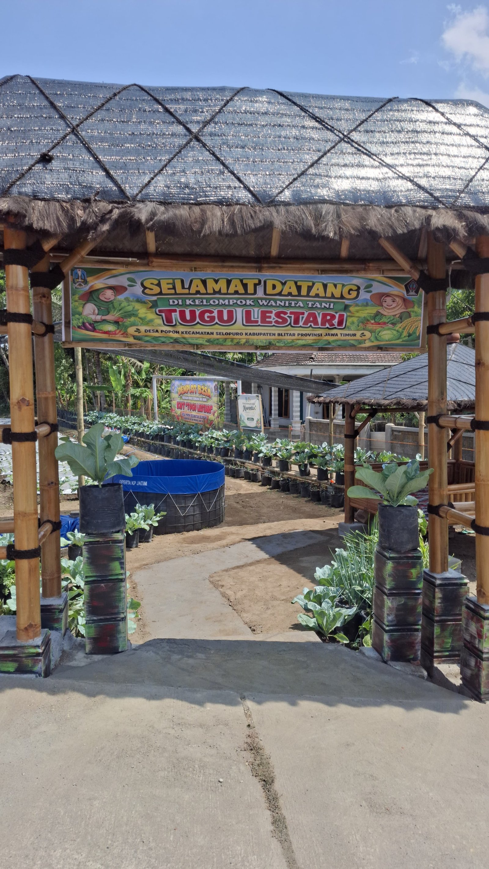 LAHAN DEMPLOT B2SA DUSUN POPOH