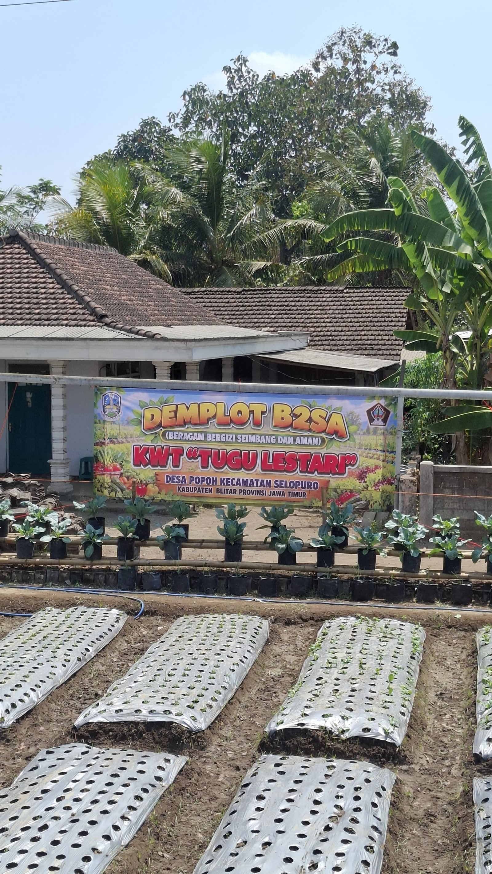LAHAN DEMPLOT B2SA DUSUN POPOH